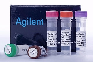 Easy-A One-Tube RT-PCR Kit